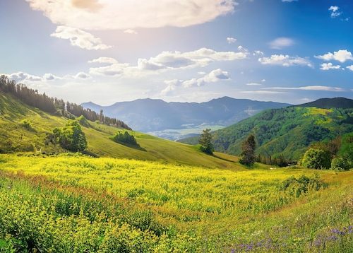Čemernik – Planina u jugoistočnom delu Srbije
