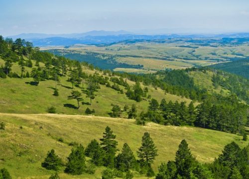 Divčibare – Oaza mira i prirodnih lepota