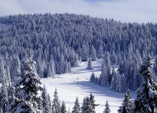 Kopaonik – Kralj srpskih planina