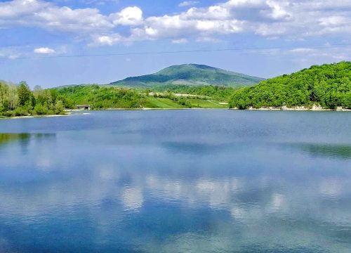 Garaško jezero – biser Šumadije skriven u borovoj tišini