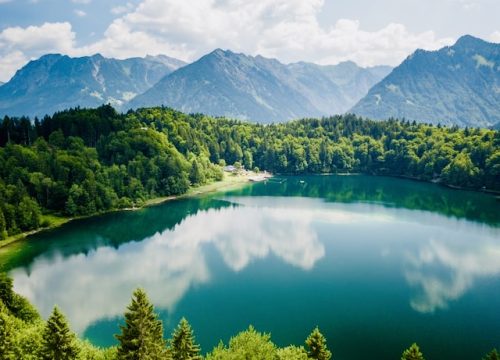 Vlasinsko jezero – planinsko čudo s plutajućim ostrvima