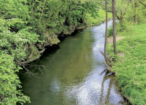 Mlava – Zeleno srce Homolja