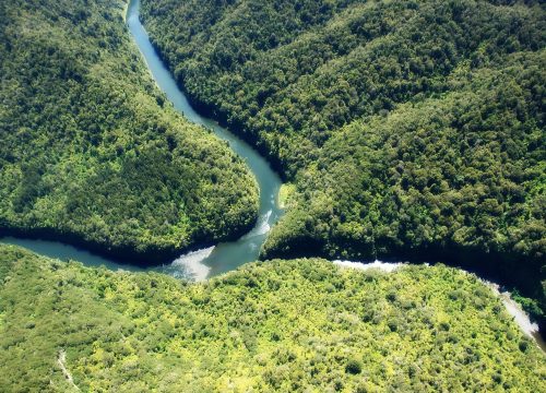 Sava – Žila kucavica srpskih gradova