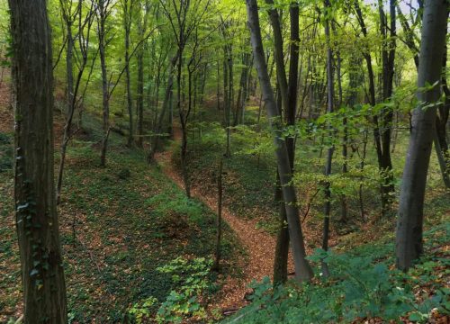 WhatsApp Image 2025-11-20 at 11.20.29