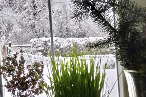 Oplus_131104